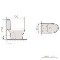 YS22210P Toilette en céramique 2 pièces, WC à fond creux monobloc à siphon en P