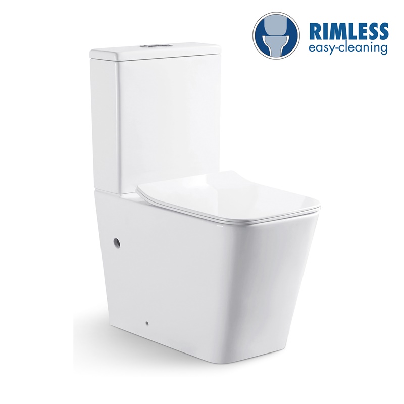 YS22251P Toilette en céramique sans rebord 2 pièces, toilette à fond creux P-trap;