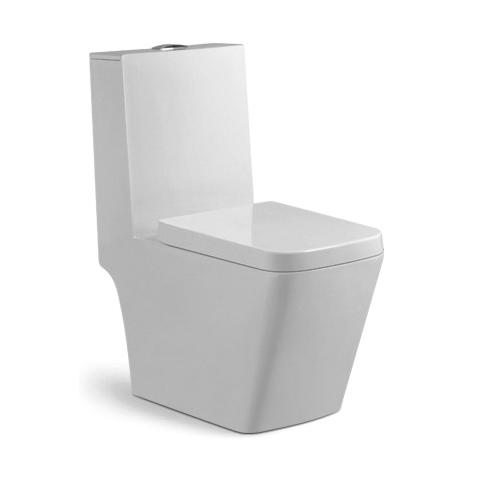 YS22259 Toilette monobloc en céramique, siphon P, lavable à fond;