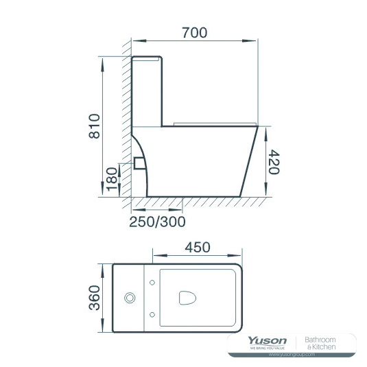 YS22259	One piece ceramic toilet, P-trap, washdown;