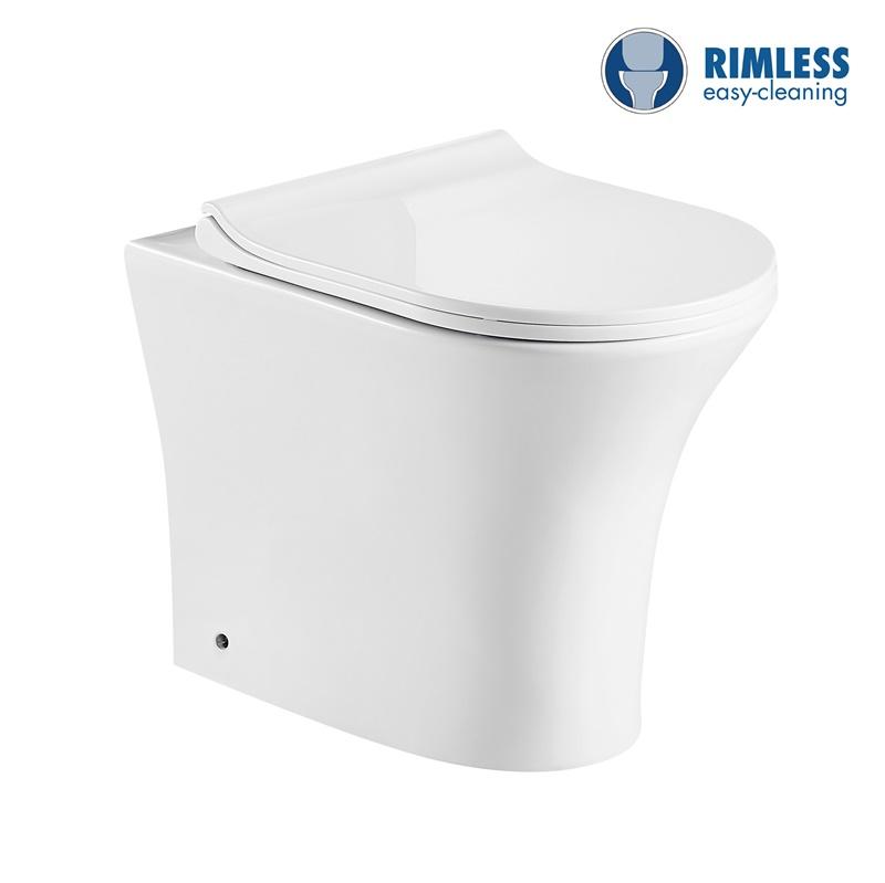 YS22294F Toilette simple en céramique, sans rebord, toilette à fond creux P-trap;