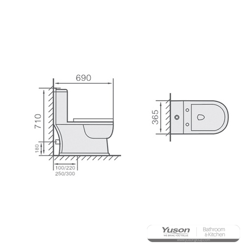 YS24216	One piece ceramic toilet, siphonic;