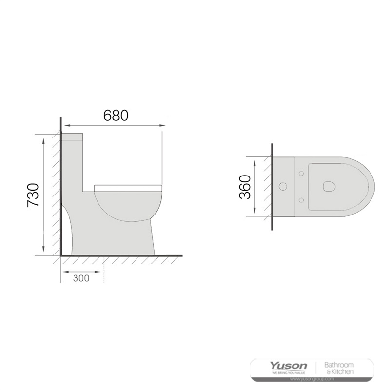 YS24219	One piece ceramic toilet, siphonic;