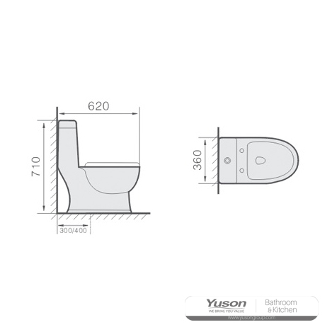 YS24243	One piece ceramic toilet, siphonic;