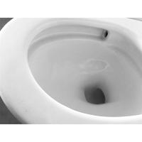 YS24271 Toilette monobloc en céramique, siphonique;