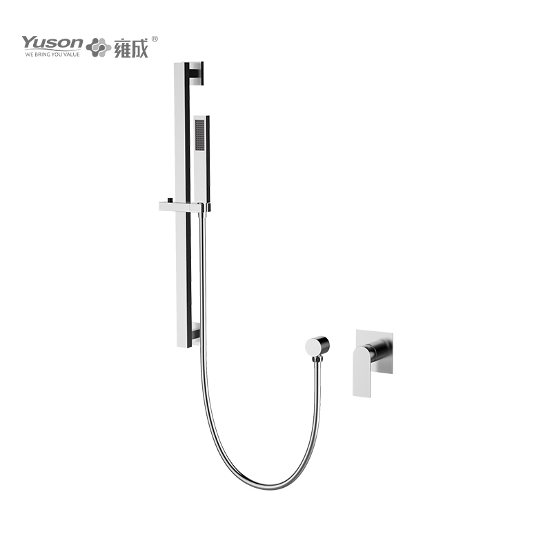 3163-21K1 SS 316L Mitigeur de douche mural avec kit de douche coulissant