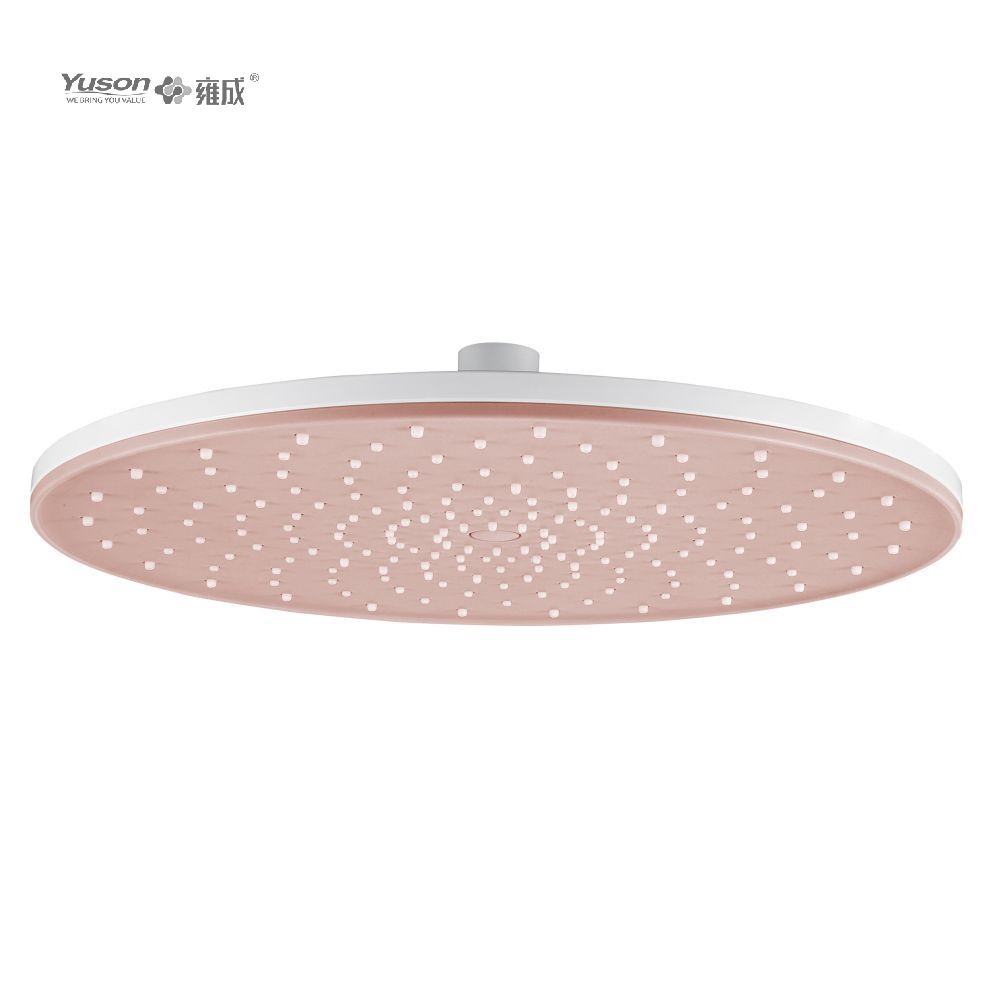 Douche de pluie YS31074T 1F