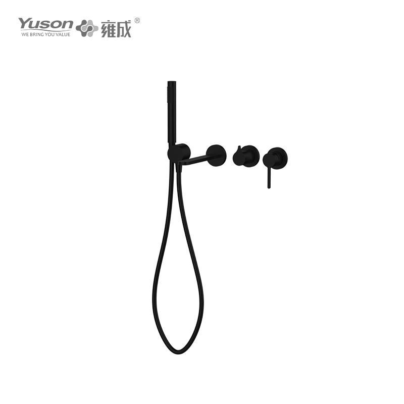 3160-23 SS 316L robinet mitigeur de bain et de douche à levier unique, eau chaude et froide encastrée au mur